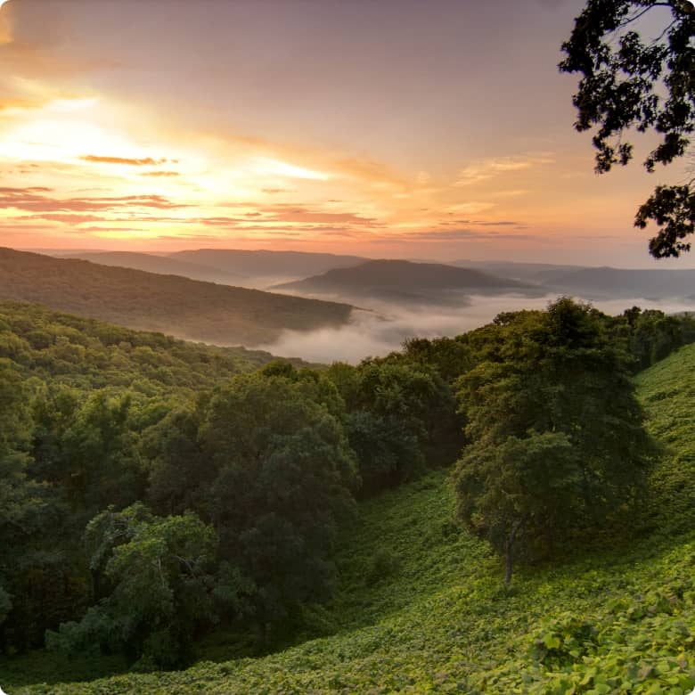 Real Estate & Homes for Sale in Tennessee, Arkansas, Atlanta GA